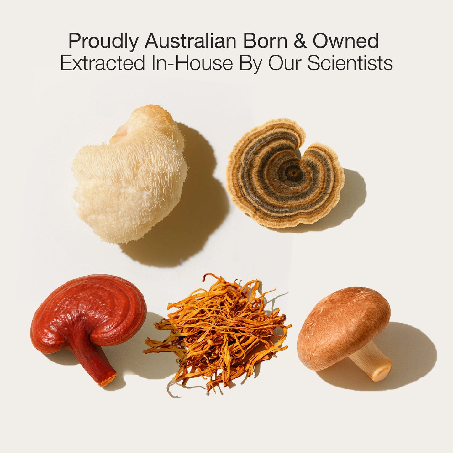 Professional Biohacker Set™