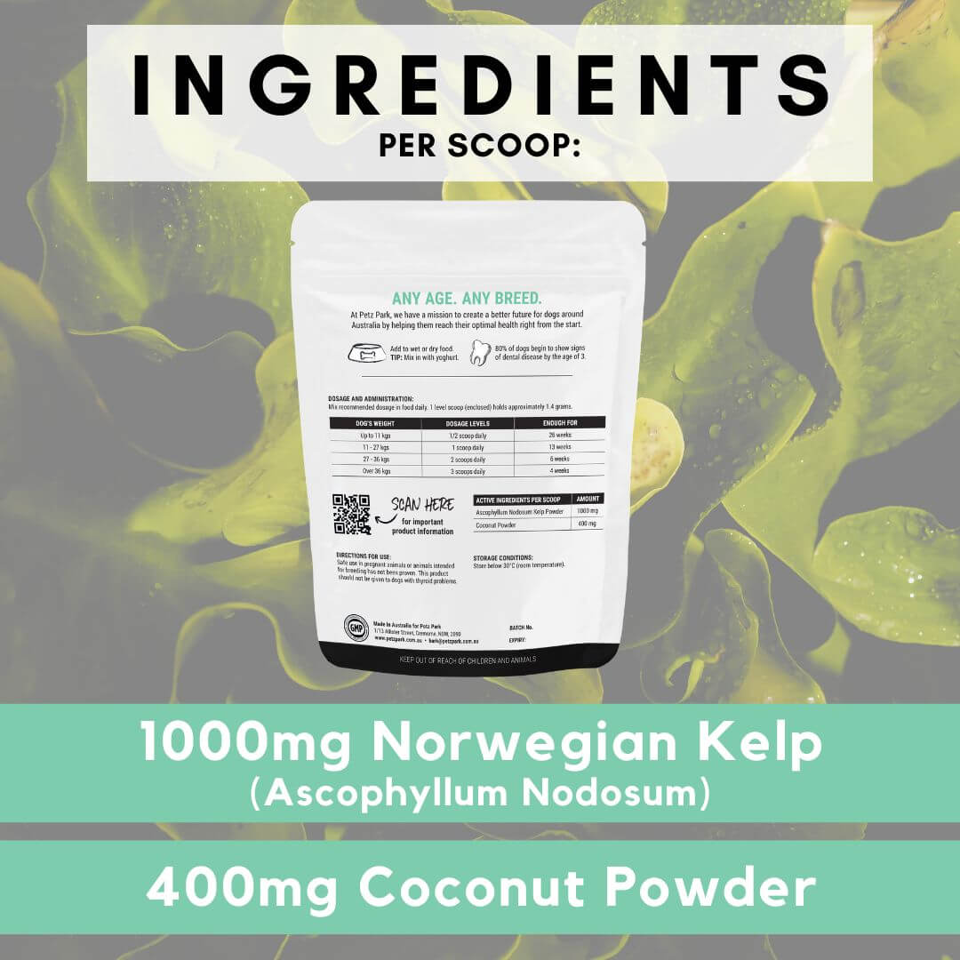 petz park dental kelp ingredients